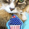 Tamale & American Cupcake Catnip Cat Toy