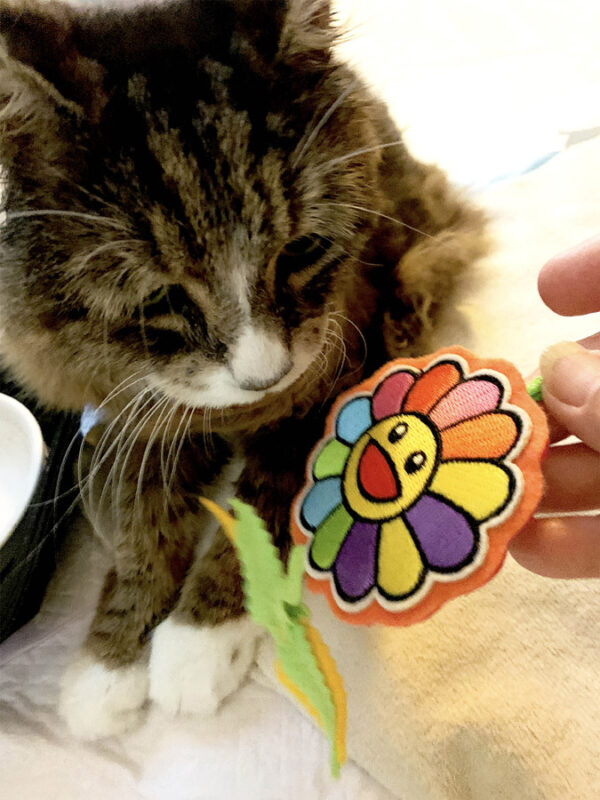 Happy Flower Cat Toy