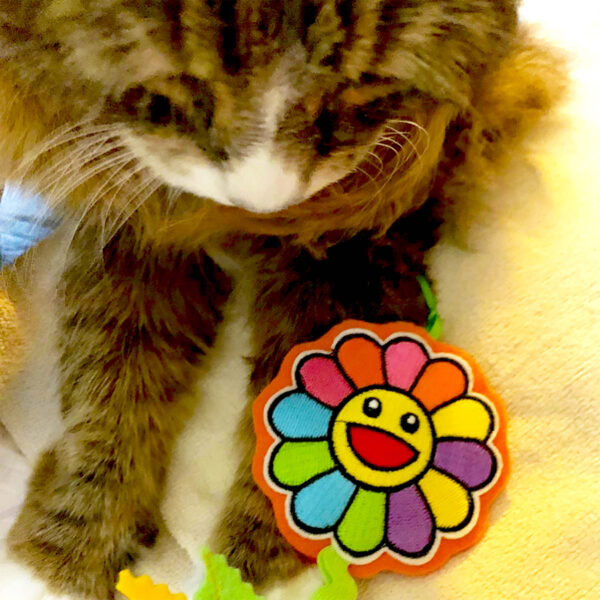 Happy Flower Cat Toy