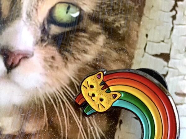 Rainbow Cat Pin