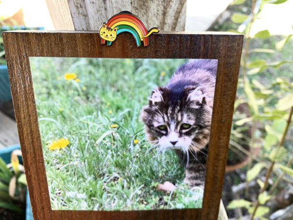 Rainbow Cat Pin