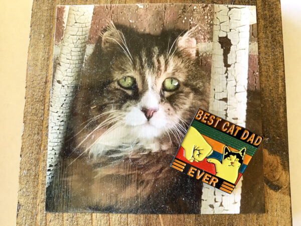 Best Cat Dad Ever Pin