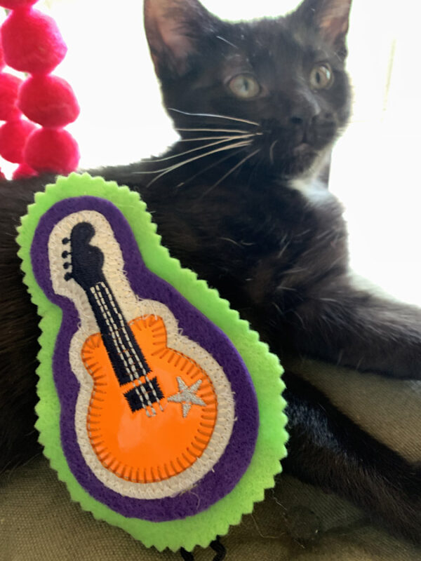 Mini Guitar Cat Toy