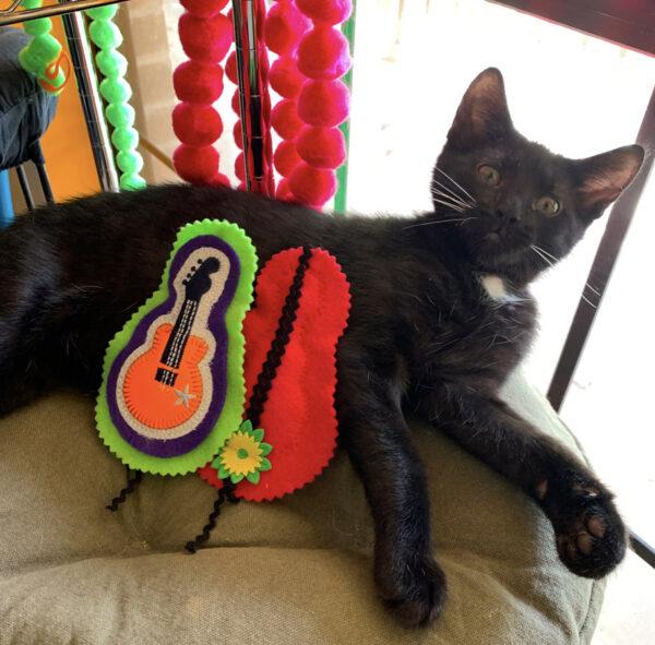 Mini Guitar Cat Toy