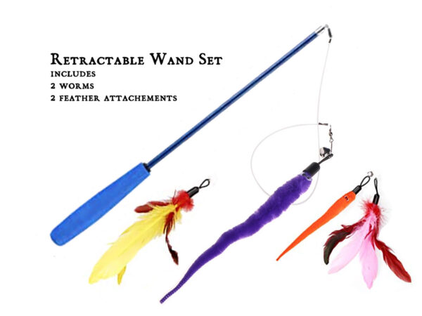 Wand Worms Feathers