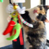 Chile Ristra Cat Toy & Ornament Gift Set