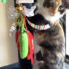 Chile Ristra Cat Toy & Ornament Gift Set