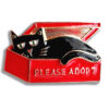 Please Adopt Pin