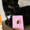 Cat, Moon and Star & Please Adopt Pins
