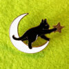 Cat, Moon and Star Pin