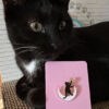 Cat, Moon and Star Pin