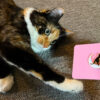 Cat, Moon and Star Pin