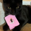 Cat, Moon and Star Pin