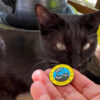 Black Cat Society Pin