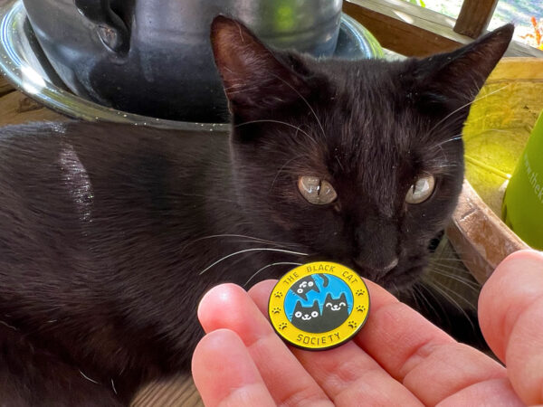 Black Cat Society Pin