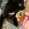 Black Cat Society Pin