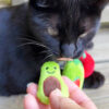 Baby Avocado & Chilies Catnip Toy Set