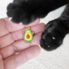 Baby Avocado & Chilies Catnip Toy Set