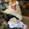 Long Kitties Catnip Toys or Ornaments