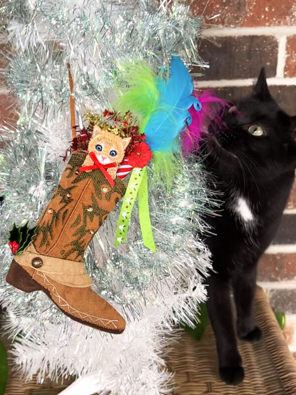 PussNBoot