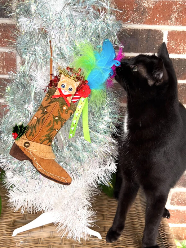 PussNBoot