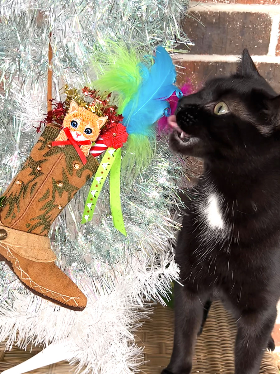 Puss in Boot Stocking