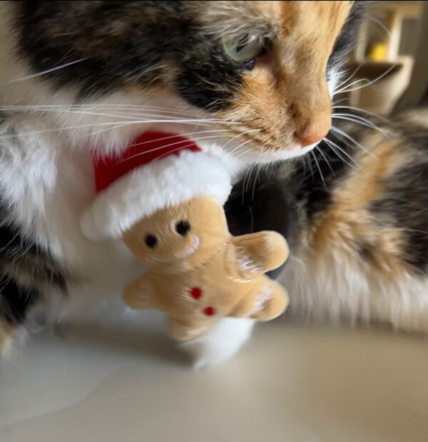 Gingerbread Catnip Toy