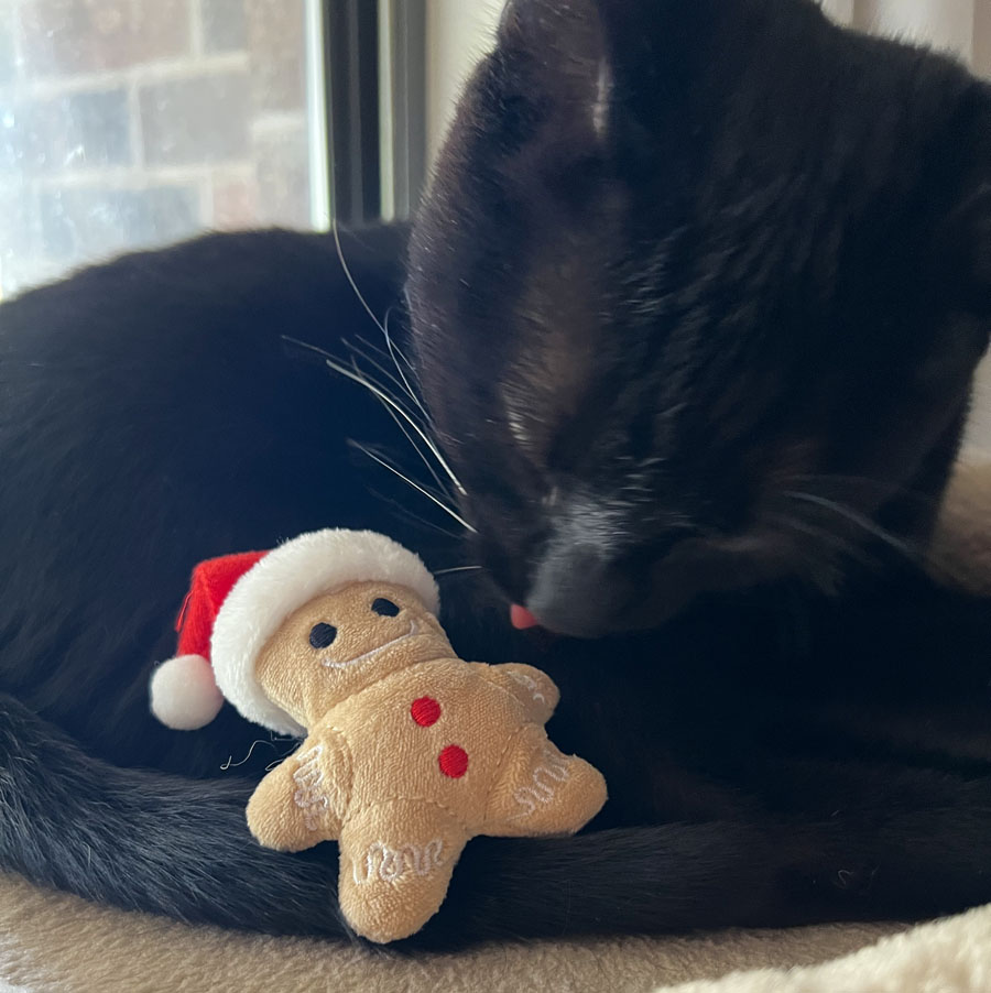 Gingerbread Catnip Toy