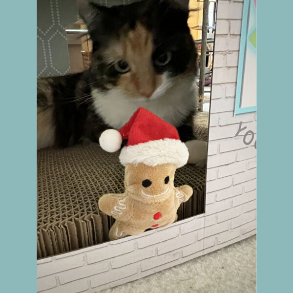 Gingerbread Catnip Toy