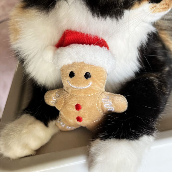 Gingerbread Catnip Toy