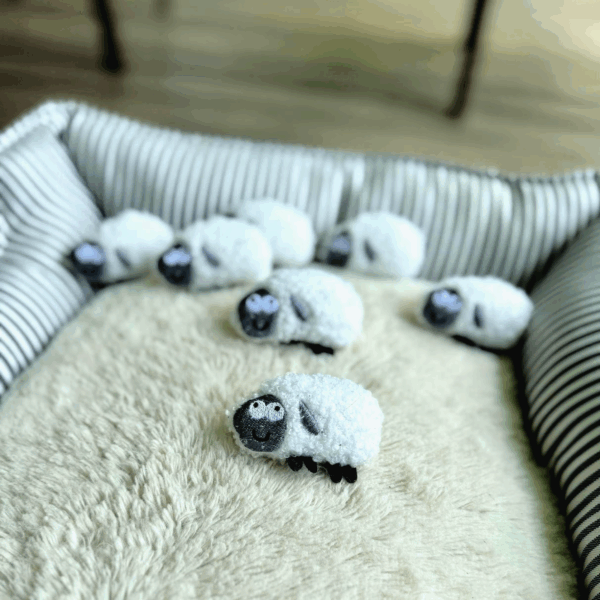 Happy Sheep